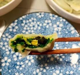 入冬啦，给家人做一份热气腾腾的韭菜虾仁海参水饺！