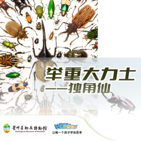 贵地博|【甲虫大力士—户外版】