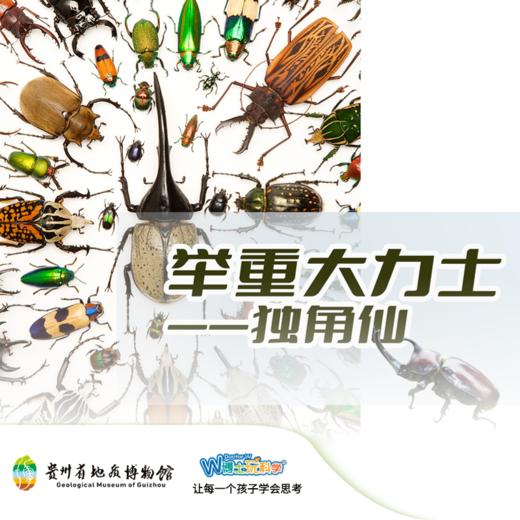 贵地博|【甲虫大力士—户外版】 商品图0