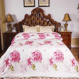 瑞梦天然蚕丝被特供组