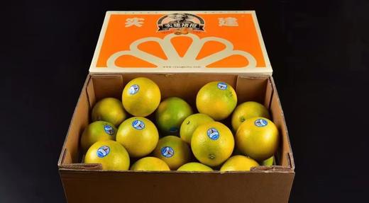 实建褚橙（云南） 商品图4