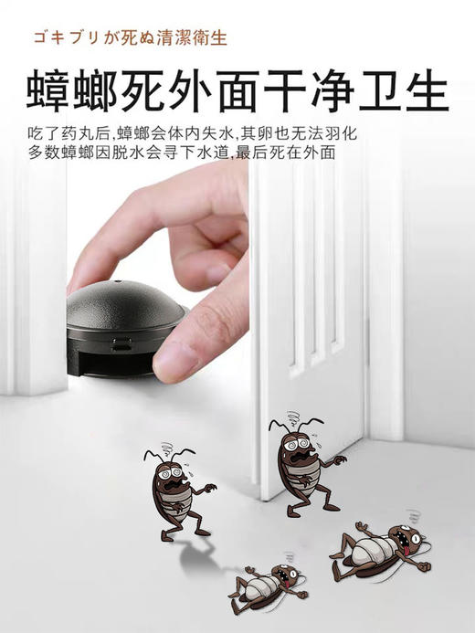 【限时折扣】日本Earth制药会社杀蟑饵剂12枚 *2 商品图1