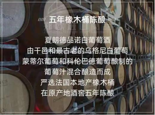 【中欧班列直供】法国葡萄酒 威尼登佰喜夏朗德品诺白葡萄酒750ml/瓶  原装进口 商品图3