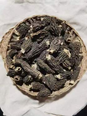干羊肚菌70g