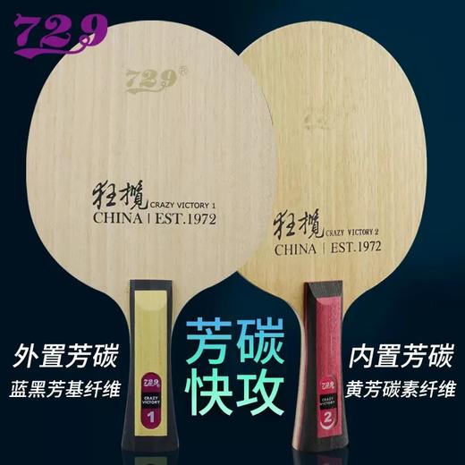 友谊729狂揽芳碳1和2快攻结合弧圈型底板 商品图0