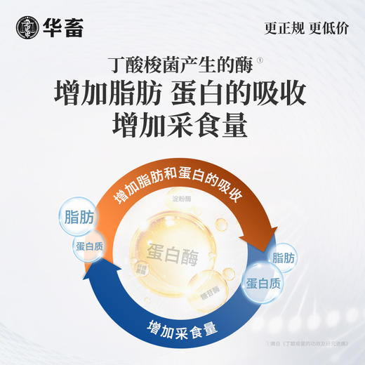 华畜禽用款疯长王500g 快速催肥提早出栏 早用早赚钱 ，可拌料可饮水 商品图1