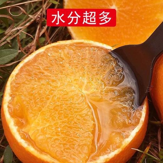 当季现摘新鲜水果薄皮橙子甜柳橙nct4 商品图2