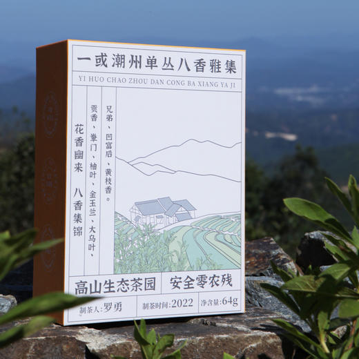【八大香型 喝懂单丛】一或  2025年 八香雅集 一级潮州单丛 64g/盒 商品图2