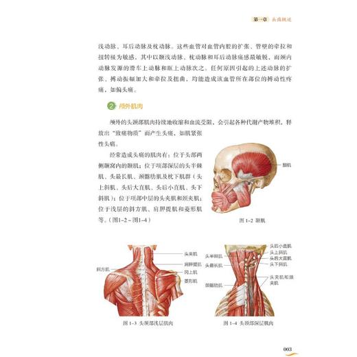 10分钟中医保健家庭疗法头痛缓解术 商品图3