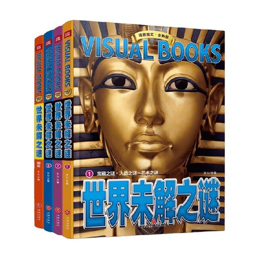世界未解之谜 11-14岁 文心 著 科普百科 商品图0