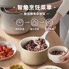 BRUNO小胖墩电压力锅家用3L高压锅全自动排气饭煲小型智能饭锅 商品缩略图1
