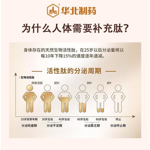 华北制药海参肽胶原蛋白肽(液态饮) 50ml/瓶x10瓶/盒 特殊膳食 商品图3