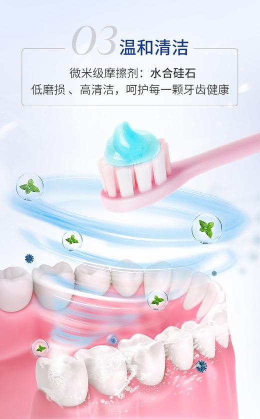 XLJ碧素堂益生菌清新牙膏260g/瓶*2瓶 商品图2