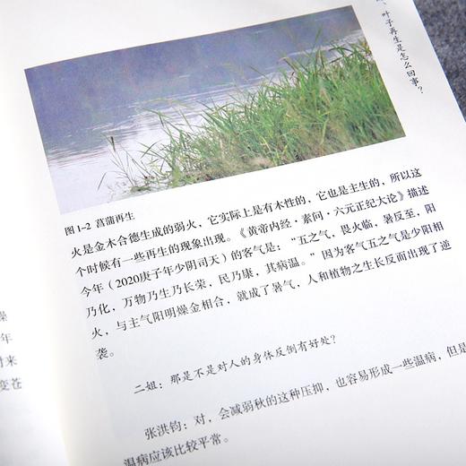 【中国人的二十四节气养生指南】《物候心语》（全4册） | 凝聚30年临床经验 + 千年传统文化知识，人人可以读懂的养生指南。丄 商品图4