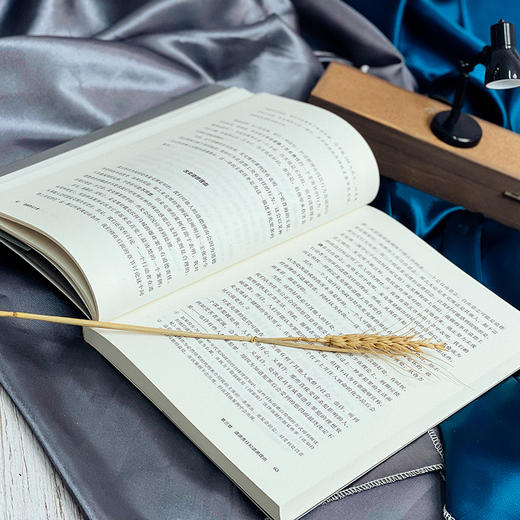 道德责任九章 哲学教育丛书 分析伦理学专著 商品图8