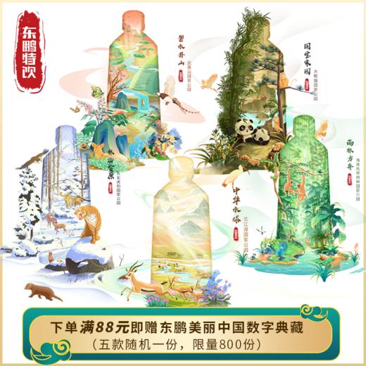 东鹏加気355ml*24罐新品能量型营养素饮料运动健身饮料 商品图1