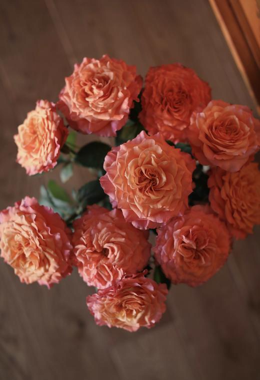 火灵鸟玫瑰【你是不死鸟，浴火涅槃，生生不息】简小姐精选 稀有热情橙黄色渐变进口品种卷边玫瑰-火灵鸟 9+1枝(防花损）2束包邮 48小时发货 商品图0