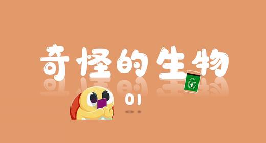 奇怪的生物1 商品图0