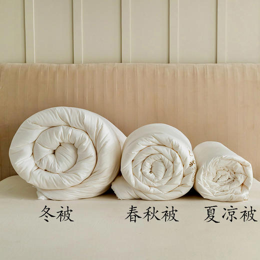 一年仅团一次！【艾能驱寒大豆春秋被，冬被】大豆蛋白纤维+艾草纤维 亲肤柔软 吸湿透气  ，现货发出，不用等预售~ 商品图3