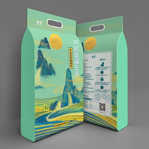 【城心米】星火东北生态鸭稻米 5kg/袋*2+一次性民用口罩 50片/盒【CS】 商品图0