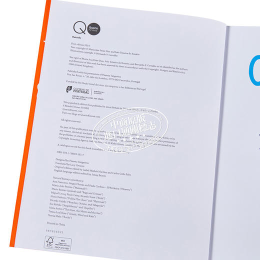 【中商原版】Outside Exploring Nature 野外 探索自然 英文原版童书 商品图3