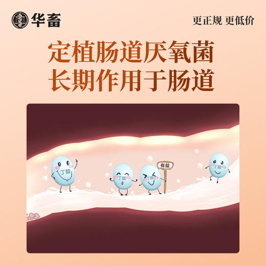 华畜禽用款疯长王500g 快速催肥提早出栏 早用早赚钱 ，可拌料可饮水 商品图2