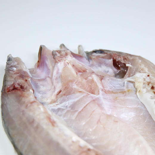 珠海白蕉海鲈鱼400-500g/条 肉质鲜嫩 筷子戳出蒜瓣肉 京东发货 商品图4