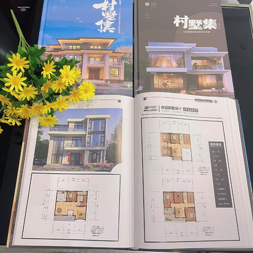 热销3万册《村墅集》荟萃100款优秀别墅设计·建房必看宝典 商品图2