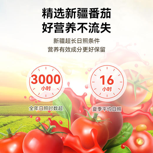 金秀儿番茄粉片 商品图1