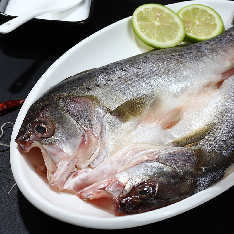 优选|珠海白蕉海鲈鱼   肉质滑嫩  蒜瓣肉刺少  鲜香不腥   400-500g/条