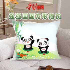 【学习强国】强强 国国欢乐时光方形抱枕45cm*45cm