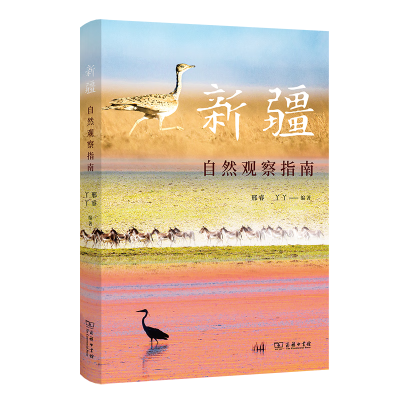 新疆自然观察指南（自然观察丛书） 邢睿 丫丫 编著 商务印书馆