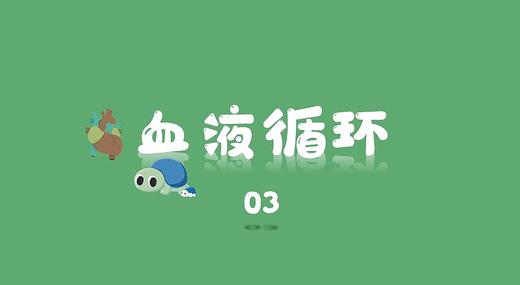 血液循环3 商品图0