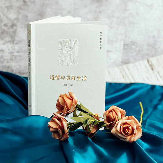 道德与美好生活 哲学教育丛书 德性与幸福 伦理学 人应该如何生活 商品图1