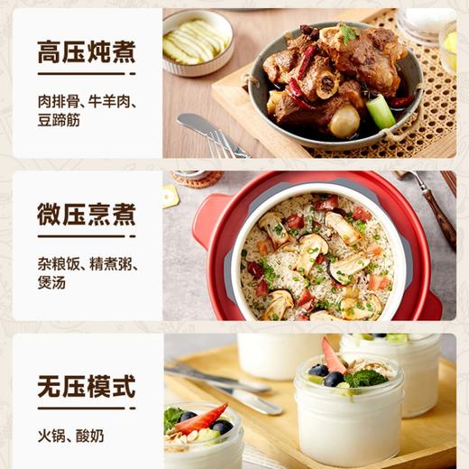 BRUNO小胖墩电压力锅家用3L高压锅全自动排气饭煲小型智能饭锅 商品图4