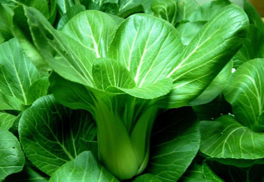 青菜/500g穴植生态 商品图0