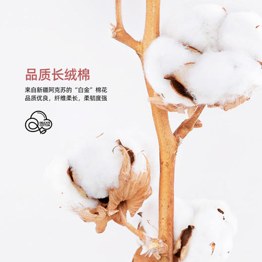 隐形盾 防臭抗菌袜子冬季保暖休闲吸汗透气中筒袜6双装 商品图3