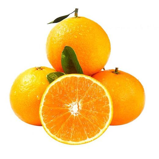 当季现摘新鲜水果薄皮橙子甜柳橙nct4 商品图3