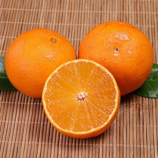 当季现摘新鲜水果薄皮橙子甜柳橙nct4 商品图0