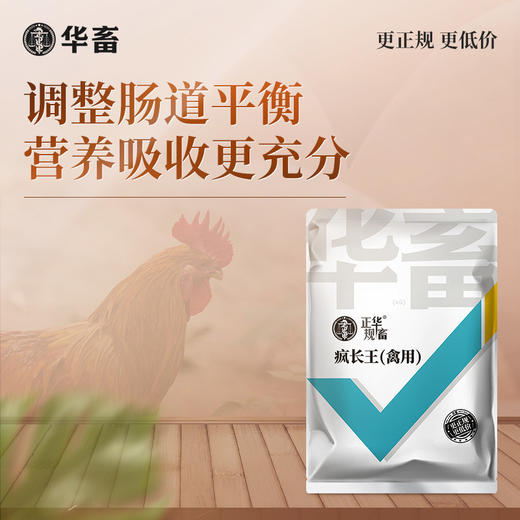 华畜禽用款疯长王500g 快速催肥提早出栏 早用早赚钱 ，可拌料可饮水 商品图0