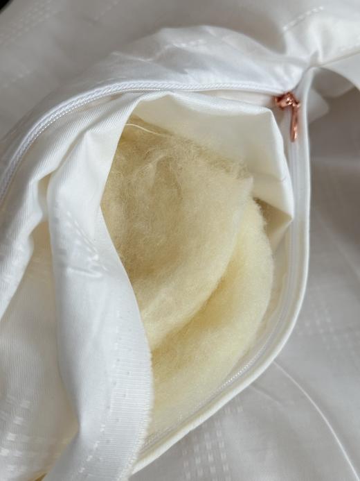 一年仅团一次！【艾能驱寒大豆春秋被，冬被】大豆蛋白纤维+艾草纤维 亲肤柔软 吸湿透气  ，现货发出，不用等预售~ 商品图4