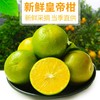 皇帝柑大果橘子新鲜水果3/5/9斤贡柑桔子蜜桔柑橘hcd11 商品缩略图1
