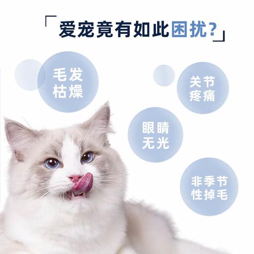 新宠之康 鱼油软胶囊72g营养补充剂 牛磺酸 多种维生素滋养毛发犬猫通用 商品图3