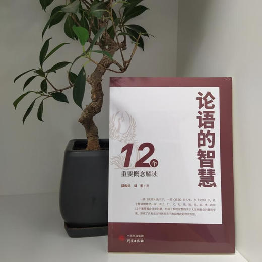 论语的智慧 12个重要概念解读 陆振兴 著 哲学 商品图1