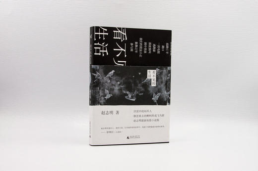 新民说  看不见的生活   赵志明/著 商品图1