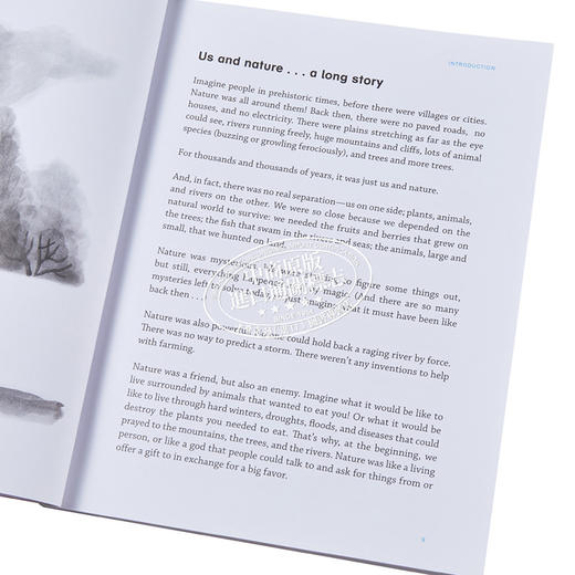 【中商原版】Outside Exploring Nature 野外 探索自然 英文原版童书 商品图4