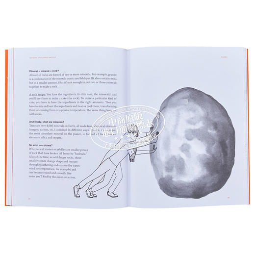 【中商原版】Outside Exploring Nature 野外 探索自然 英文原版童书 商品图8