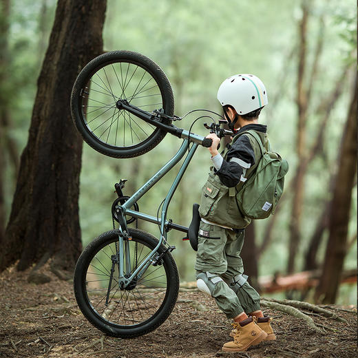 Mon Tresor 儿童自行车超轻男孩女孩中大童单车3岁新款萌兽童车骠骑 商品图7