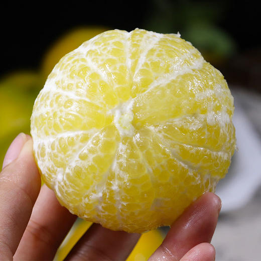 皇帝柑大果橘子新鲜水果3/5/9斤贡柑桔子蜜桔柑橘hcd11 商品图2