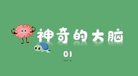 神奇的大脑1